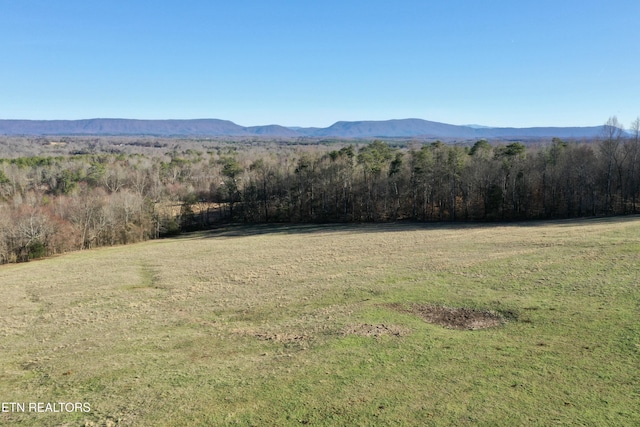 383 County Road 651, Athens, TN 37303 - photo 31