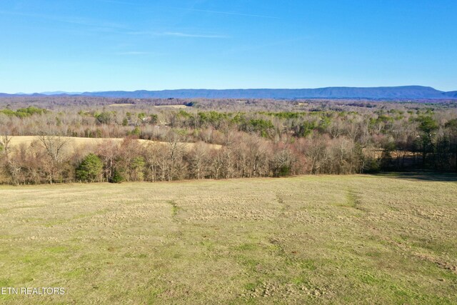 383 County Road 651, Athens, TN 37303 - photo 32