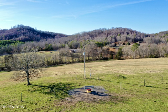 383 County Road 651, Athens, TN 37303 - photo 35