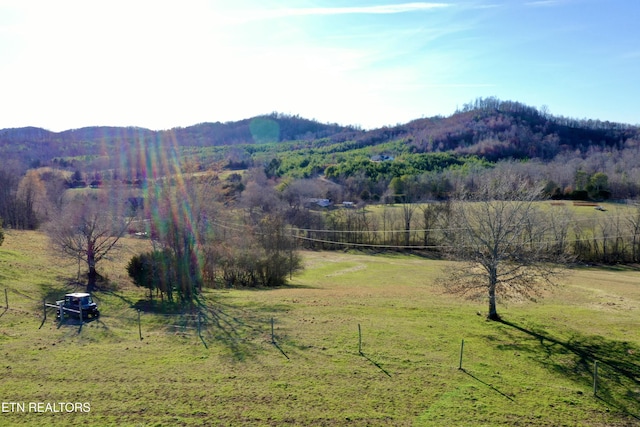 383 County Road 651, Athens, TN 37303 - photo 36