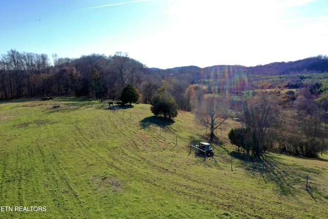 383 County Road 651, Athens, TN 37303 - photo 37