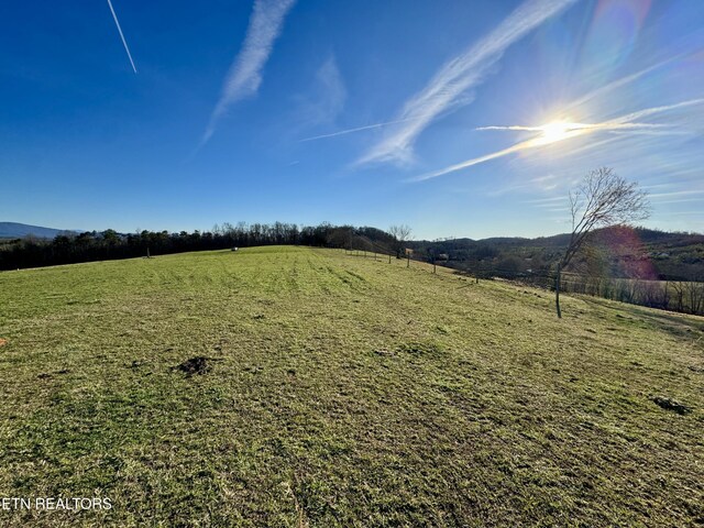 383 County Road 651, Athens, TN 37303 - photo 43