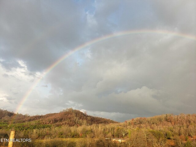 383 County Road 651, Athens, TN 37303 - photo 41