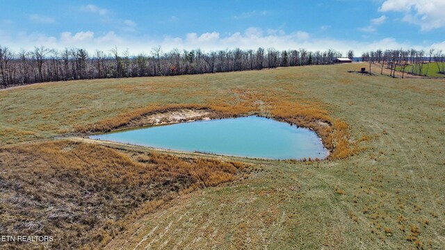 430 Turkey Ridge Rd, Clarkrange, TN 38553 - photo 5