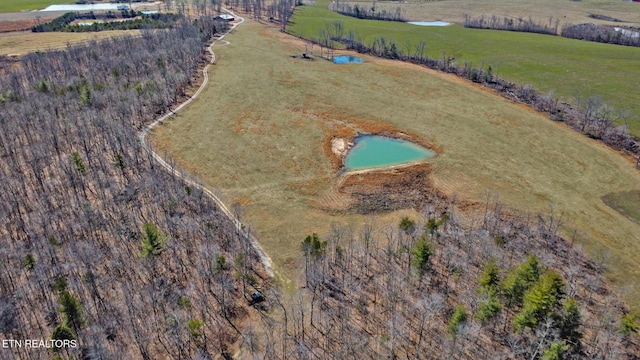 430 Turkey Ridge Rd, Clarkrange, TN 38553 - photo 6