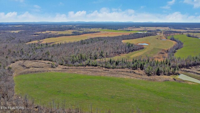 430 Turkey Ridge Rd, Clarkrange, TN 38553 - photo 7