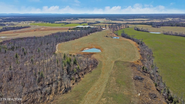 430 Turkey Ridge Rd, Clarkrange, TN 38553 - photo 10
