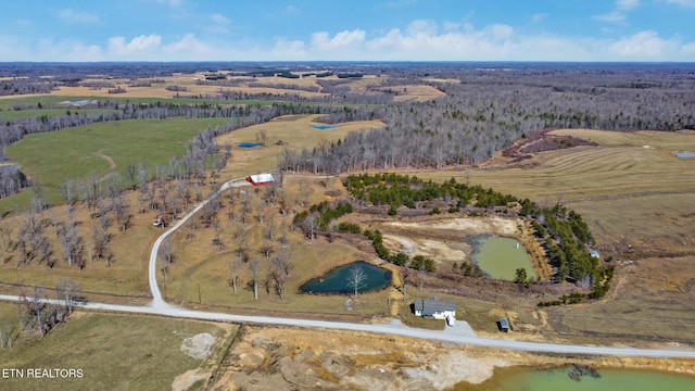 430 Turkey Ridge Rd, Clarkrange, TN 38553 - photo 12