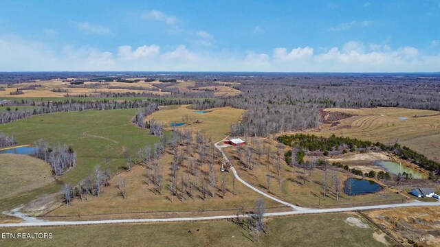 430 Turkey Ridge Rd, Clarkrange, TN 38553 - photo 14