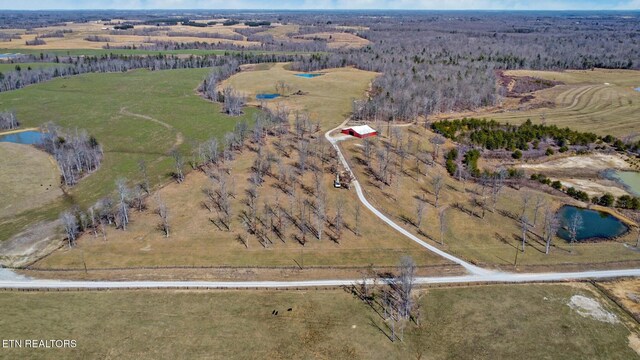 430 Turkey Ridge Rd, Clarkrange, TN 38553 - photo 15