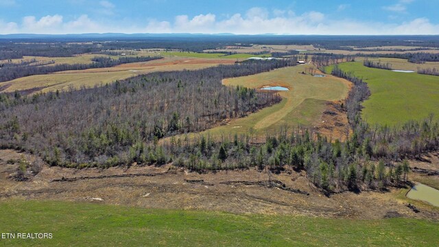 430 Turkey Ridge Rd, Clarkrange, TN 38553 - photo 16