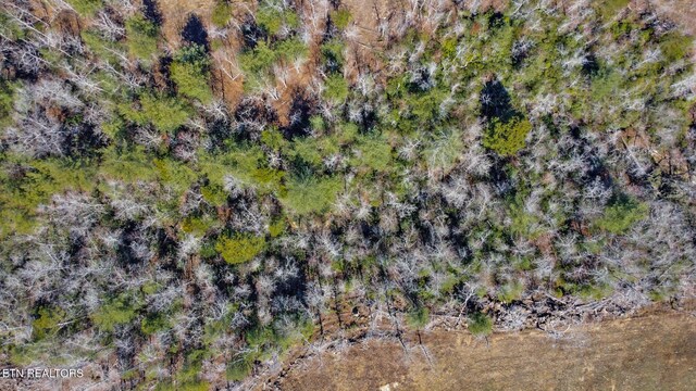 430 Turkey Ridge Rd, Clarkrange, TN 38553 - photo 18