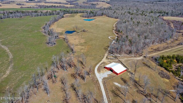 430 Turkey Ridge Rd, Clarkrange, TN 38553 - photo 21