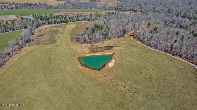 430 Turkey Ridge Rd, Clarkrange, TN 38553 - photo 22