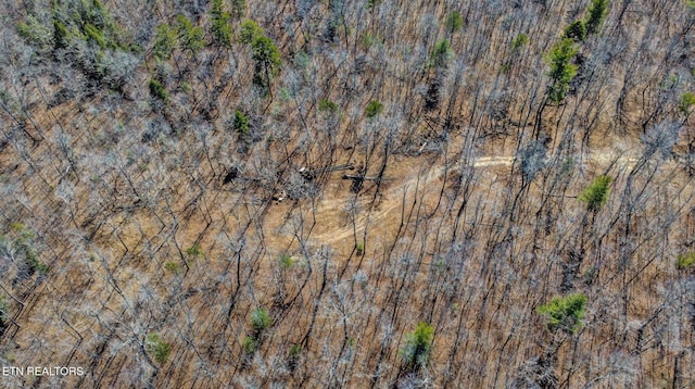 430 Turkey Ridge Rd, Clarkrange, TN 38553 - photo 23