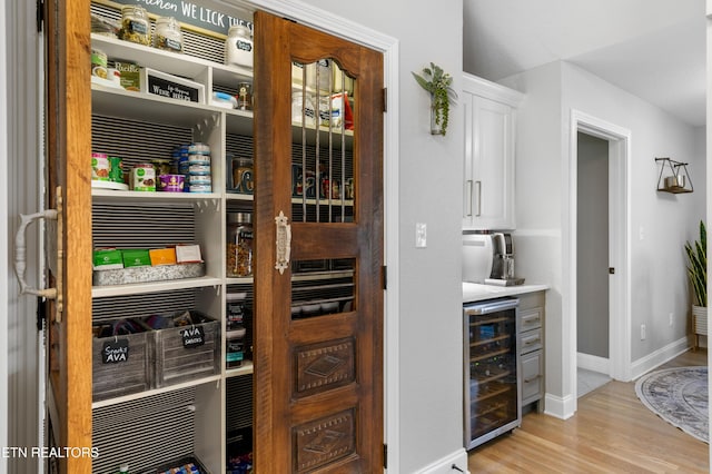 pantry with wine cooler