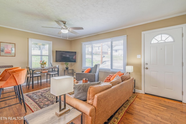 living area featuring crown molding, a wealth of natural light, light wood finished floors, and a textured ceiling