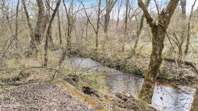 1768 Redgrave Rd, Knoxville, TN 37922 - photo 57