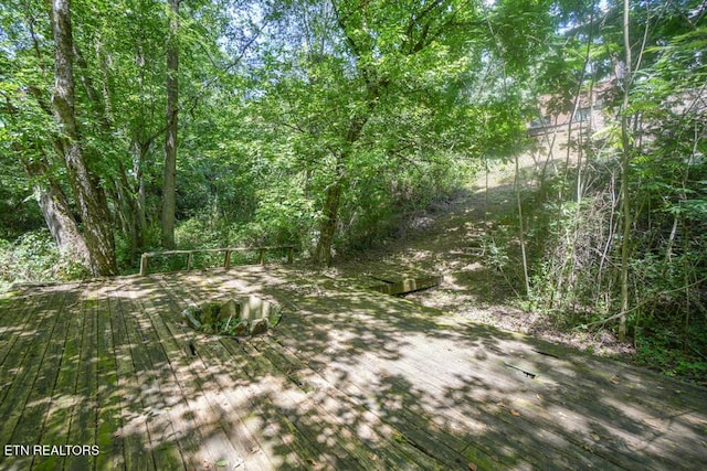 1768 Redgrave Rd, Knoxville, TN 37922 - photo 59