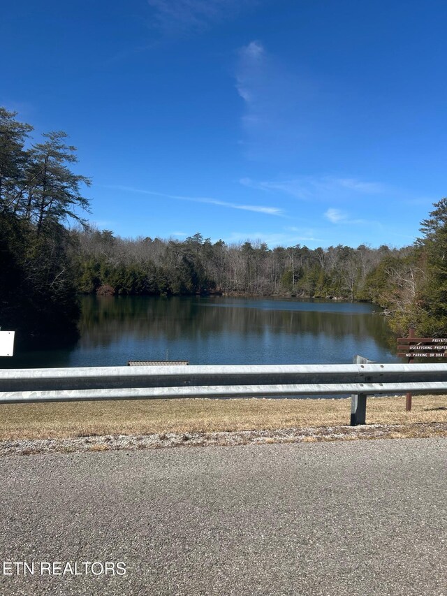 31 Lake Shore Dr, Monterey, TN 38574 - photo 3