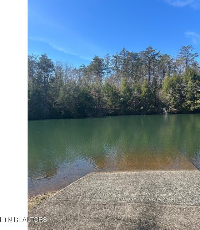 31 Lake Shore Dr, Monterey, TN 38574 - photo 5