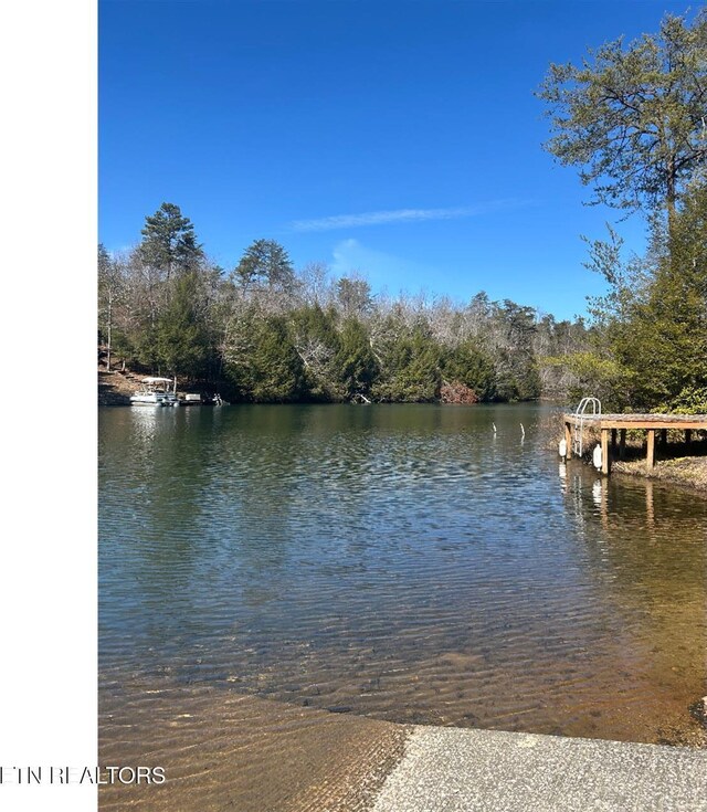 31 Lake Shore Dr, Monterey, TN 38574 - photo 6