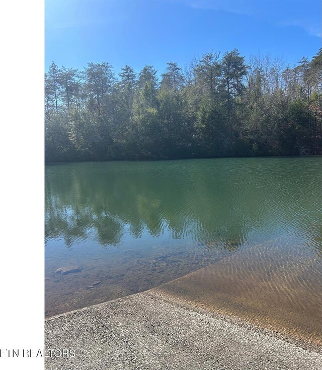31 Lake Shore Dr, Monterey, TN 38574 - photo 7