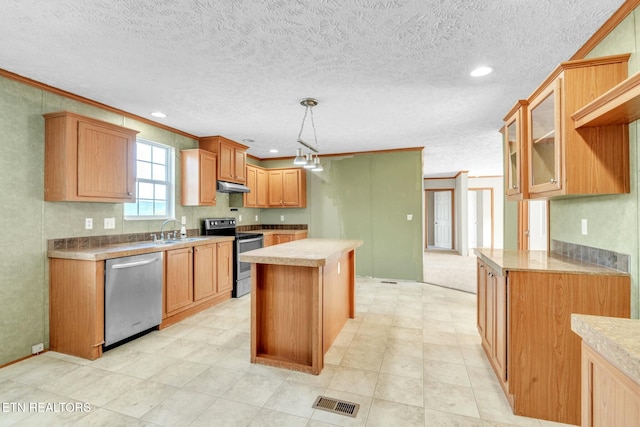 902 Oak Village Ct, Dandridge, TN 37725 - kitchen featuring under cabinet range hood, stainless steel appliances, light countertops, a sink, and a center island