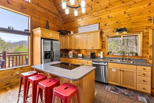 kitchen featuring a wealth of natural light, wooden walls, appliances with stainless steel finishes, and a sink