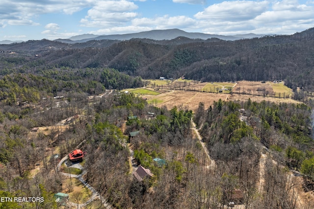 property view of mountains featuring a forest view