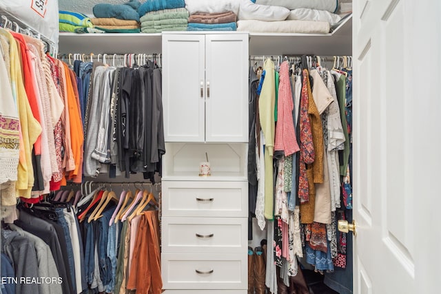 view of walk in closet