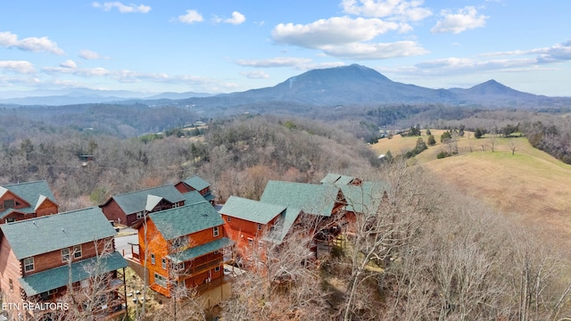 bird's eye view featuring a mountain view and a view of trees