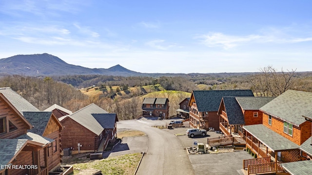 view of mountain feature featuring a wooded view