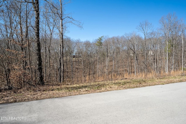 223 Clear Springs Rd, Harriman TN, 37748 land for sale