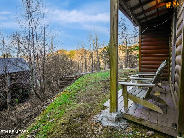 3110 Cove Ridge Way, Sevierville, TN 37862 - photo 39