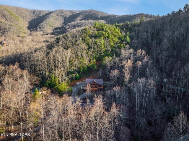 3110 Cove Ridge Way, Sevierville, TN 37862 - photo 42