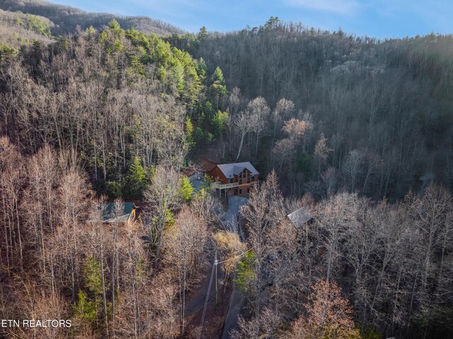 3110 Cove Ridge Way, Sevierville, TN 37862 - photo 43