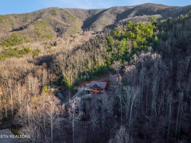 3110 Cove Ridge Way, Sevierville, TN 37862 - photo 44