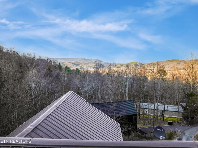 3110 Cove Ridge Way, Sevierville, TN 37862 - photo 41