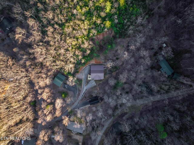 3110 Cove Ridge Way, Sevierville, TN 37862 - photo 46