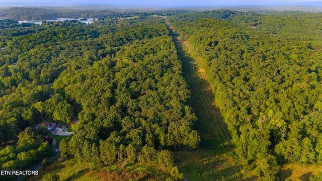 Lake Forest Rd, Spring City TN, 37381 land for sale