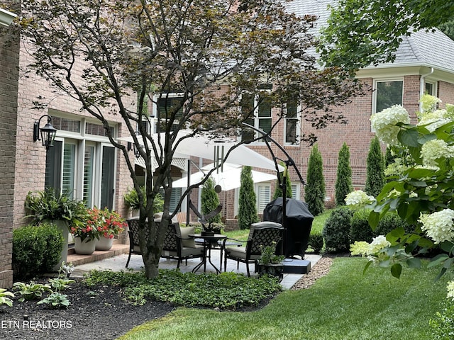 view of yard featuring a patio area