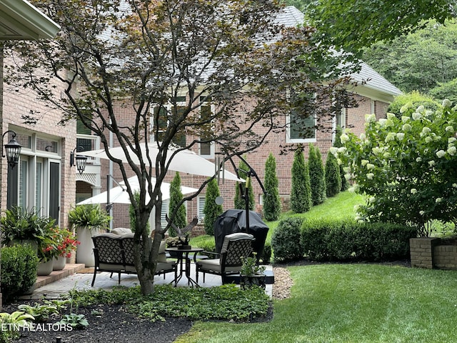 view of yard with a patio