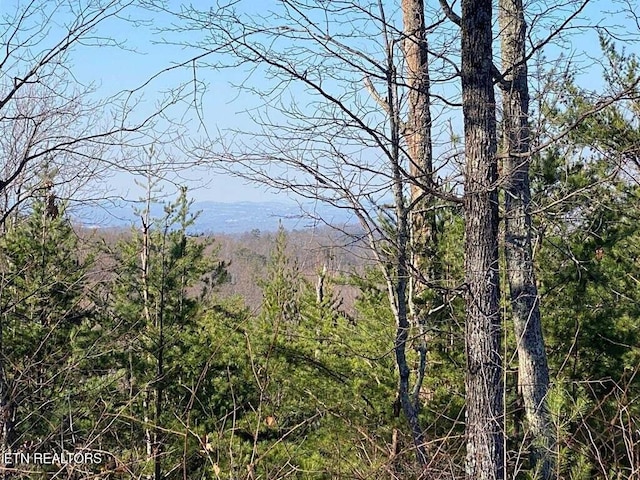 Listing photo 2 for Lot English Springs Way --, Newport TN 37821