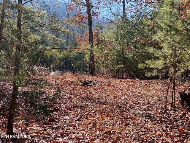 Lot English Springs Way --, Newport TN, 37821 land for sale