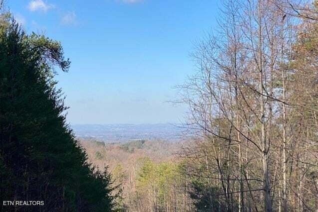 Listing photo 3 for Lot English Springs Way --, Newport TN 37821