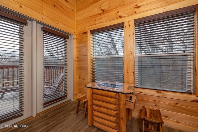 interior space with wooden walls and wood finished floors