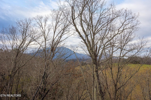 property view of mountains with a forest view