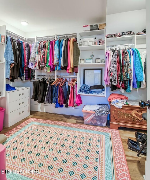 spacious closet with wood finished floors