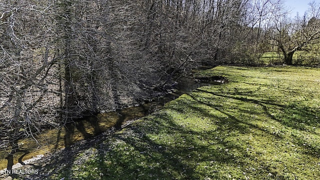 view of nature with a wooded view